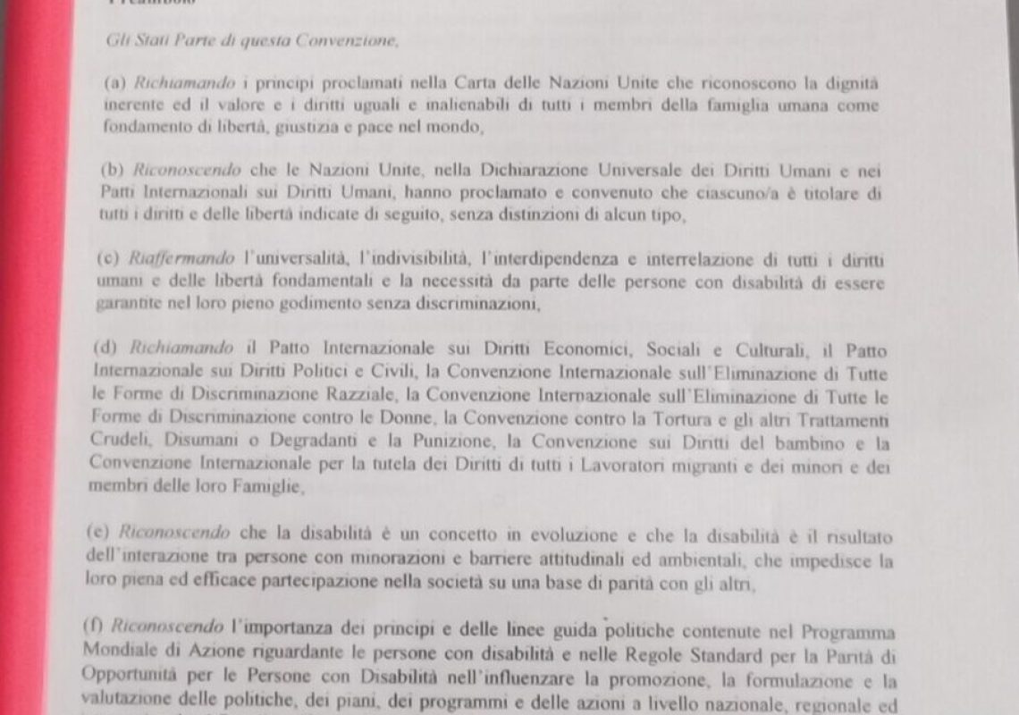 convenzione sui diritti delle persone con disabilità